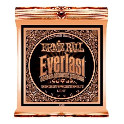 Ernie Ball P02548 Everlast Akustik Gitar Teli (Light)