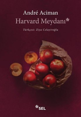 Harvard Meydanı