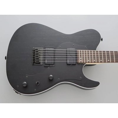 Fujigen Iliad Elektro Gitar JIL3ASHDE664R/OPB