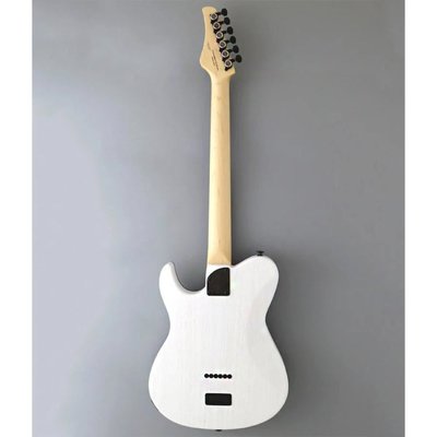 Fujigen Iliad Elektro Gitar JIL3ASHDE664R/OPW