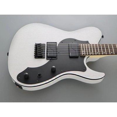 Fujigen Iliad Elektro Gitar JIL3ASHDE664R/OPW