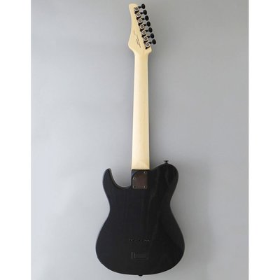 Fujigen Iliad Elektro Gitar JIL73ASHDER/OPB