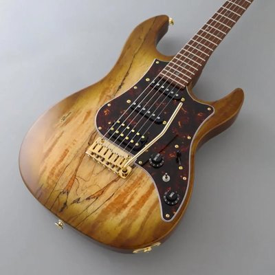 Fujigen Odyssey Elektro Gitar EOS2EW1RM/HCB