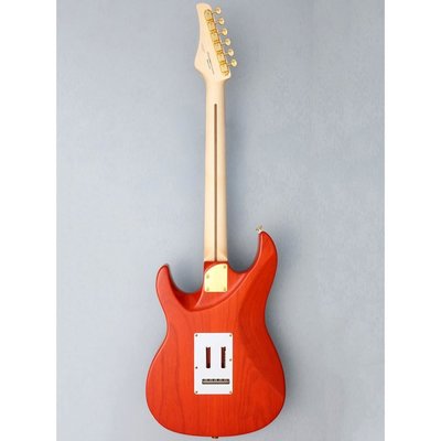 Fujigen Odyssey Elektro Gitar EOS2FMR/RKG