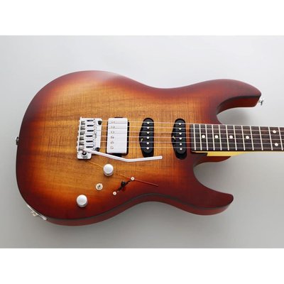 Fujigen Odyssey Elektro Gitar JOS2DUEW2R/KNB