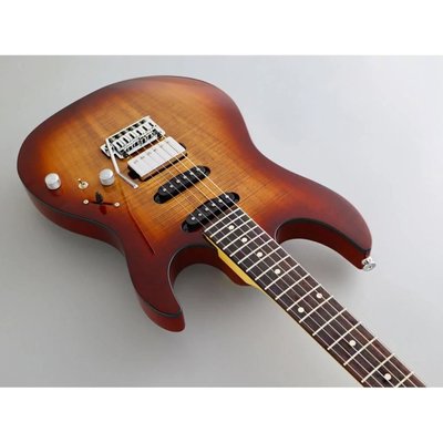 Fujigen Odyssey Elektro Gitar JOS2DUEW2R/KNB