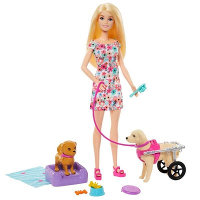 Barbie ve Engelli Köpeği Oyun Seti HTK37