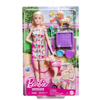 Barbie ve Engelli Köpeği Oyun Seti HTK37