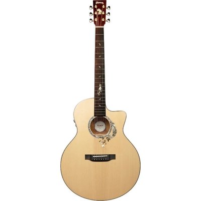 Trumon Wing 950 TF-S3 Elektro Akustik Gitar