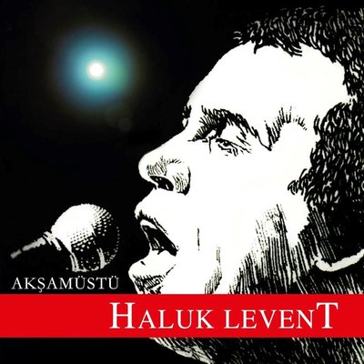 Haluk Levent Akşamüstü Plak