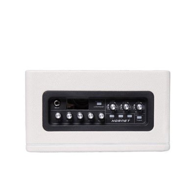 Mooer DH02 Hornet 15W Combo Gitar Amfisi