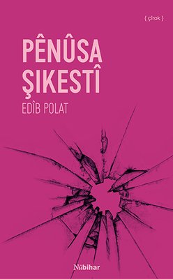 Penüsa Şikesti