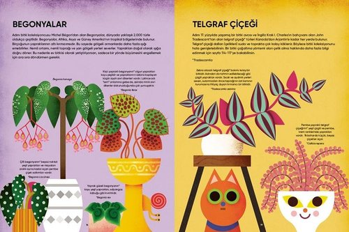 Evindeki Orman - Ev Bitkileri Hakkında Her Şey