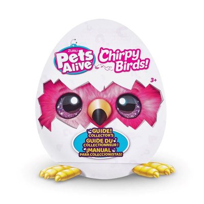Pets Alıve Cıvıl Cıvıl Kus-9537