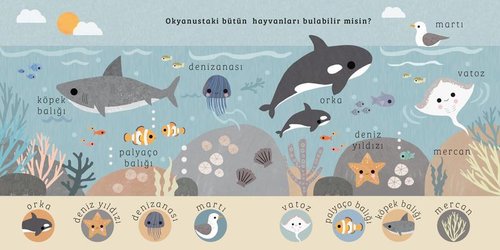 Okyanus - Say Bul Eğlen