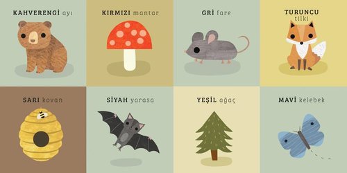 Orman - Say Bul Eğlen