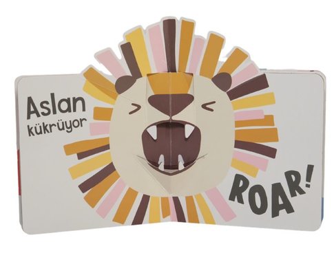 Vahşi Ormanda! Mini Pop Up