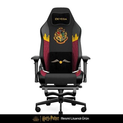 Exvega Pandora Harry Potter Hogwarts Oyuncu ve Çalışma Koltuğu