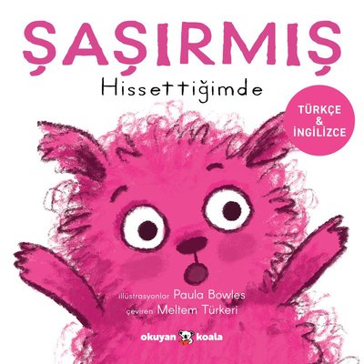 Şaşırmış Hissettiğimde - İlk Duygularım - Türkçe ve İngilizce