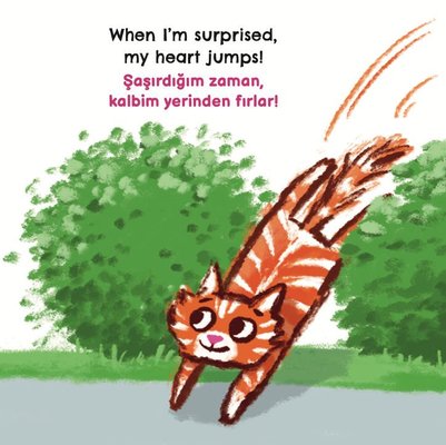 Şaşırmış Hissettiğimde - İlk Duygularım - Türkçe ve İngilizce