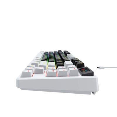 Havit Gamenote KB884L RGB TKL Brown Switch Kablolu Mekanik Oyuncu Klavyesi