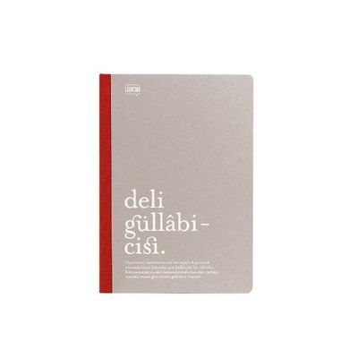 Keskin Color Lugat365 X Karatis Çizgili Defter 64 Yaprak 13 x 19 Cm - Deli Güllabicisi