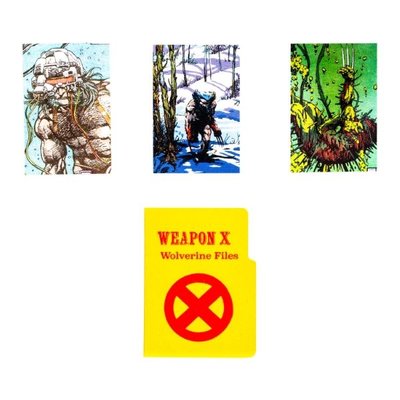 Fandrop Wolverine Sabretooth'a Karşı Figür