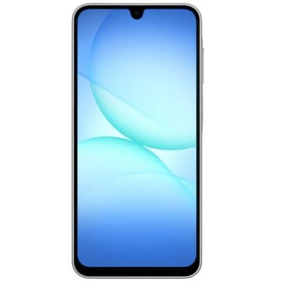 Samsung Galaxy A17 4/128 GB Gri