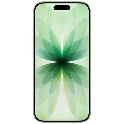 iPhone 17 256 GB Ada Çayı