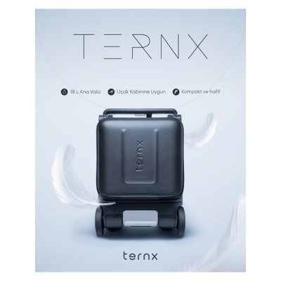 TernX El Bagajı Seyahat Bebek Arabası