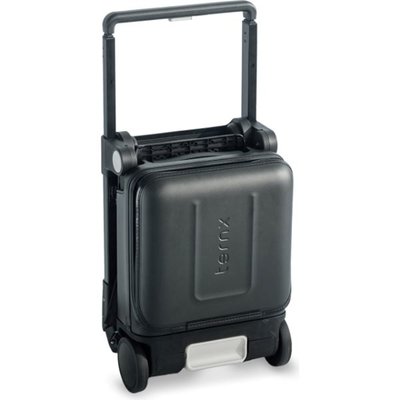 TernX El Bagajı Seyahat Bebek Arabası