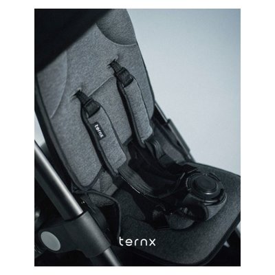 TernX El Bagajı Seyahat Bebek Arabası