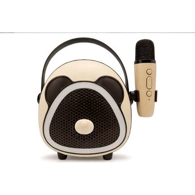 Crown Well CW028 Karaoke Hoparlör, Siyah