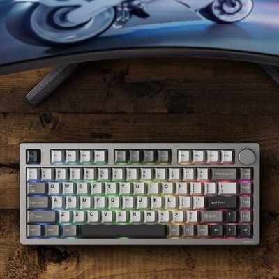 Philips Evnia SPK8618 Gri RGB 75 TKL Kablolu/Kablosuz Mekanik Oyuncu Klavyesi