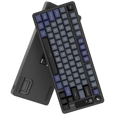 Hawk Gaming HK255 Siyah - Gri RGB %75 TKL Membrane Switch Kablolu / Kablosuz Oyuncu Klavyesi
