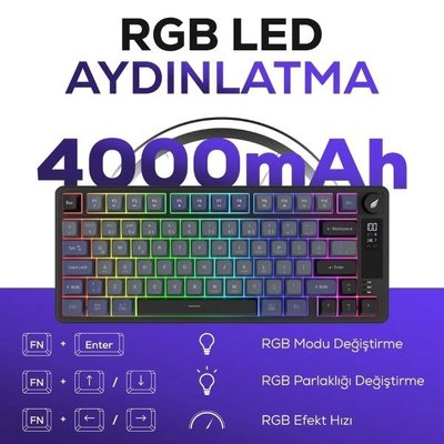 Hawk Gaming HK255 Siyah - Gri RGB %75 TKL Membrane Switch Kablolu / Kablosuz Oyuncu Klavyesi