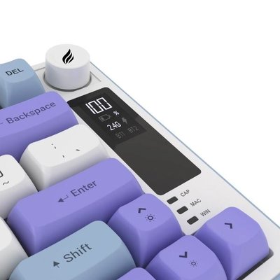 Hawk Gaming HK255 Mavi - Mor RGB %75 TKL Membrane Switch Kablolu / Kablosuz Oyuncu Klavyesi