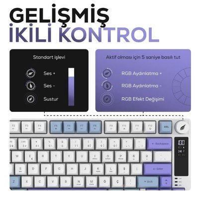 Hawk Gaming HK255 Mavi - Mor RGB %75 TKL Membrane Switch Kablolu / Kablosuz Oyuncu Klavyesi