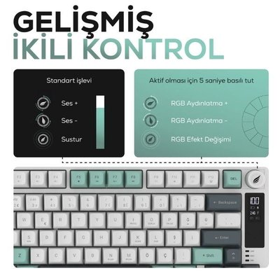 Hawk Gaming HK255 Gri - Yeşil RGB %75 TKL Membrane Switch Kablolu / Kablosuz Oyuncu Klavyesi