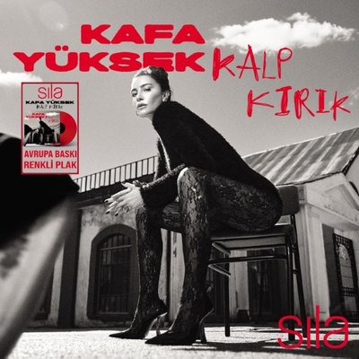 Kafa Yüksek Kalp Kırık (Renkli)