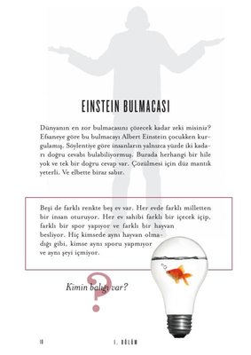 Einstein Bulmacası