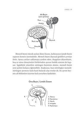 İnsan Beyninin Gizemi