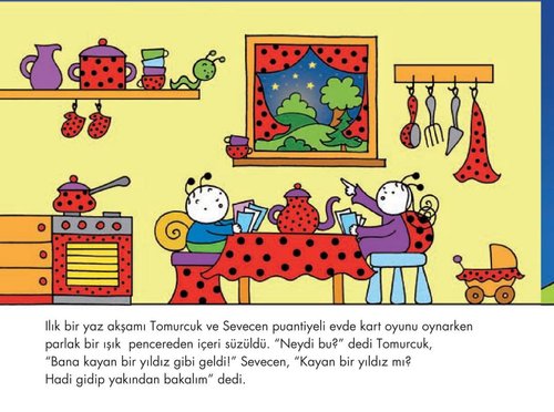 Yıldız Evi 31 - Uğurböceği Sevecen İle Salyangoz Tomurcuk