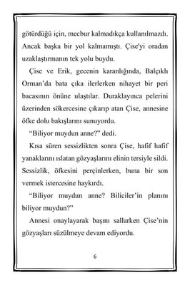 Kayıp Prenses - Büyücü'nün Çırağı