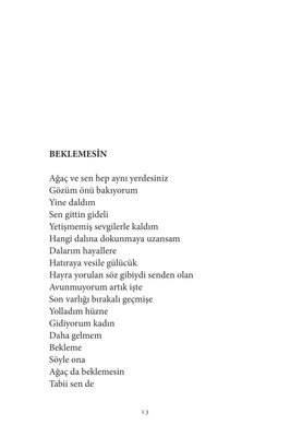 Yitirilmemiş Kadınlar