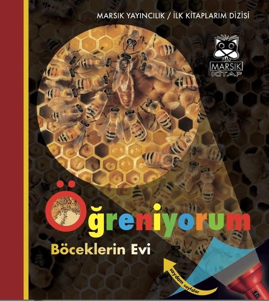 Böceklerin Evi-Öğreniyorum