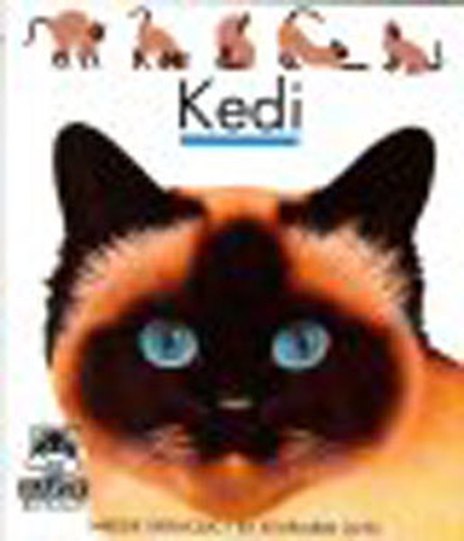 İlk Kitaplarım-Kedi