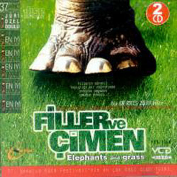 Filler ve Çimen - Elephants And Grass