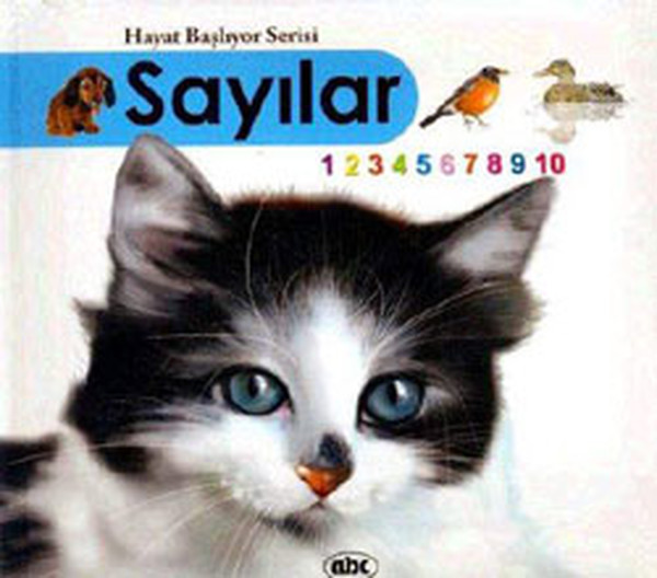 Sayılar (Kitap + İnteraktif CDRom)