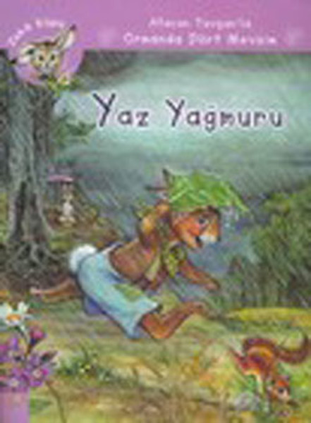 Yaz Yağmuru